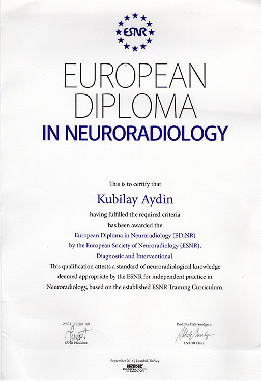 European Diploma in Neuroradiology